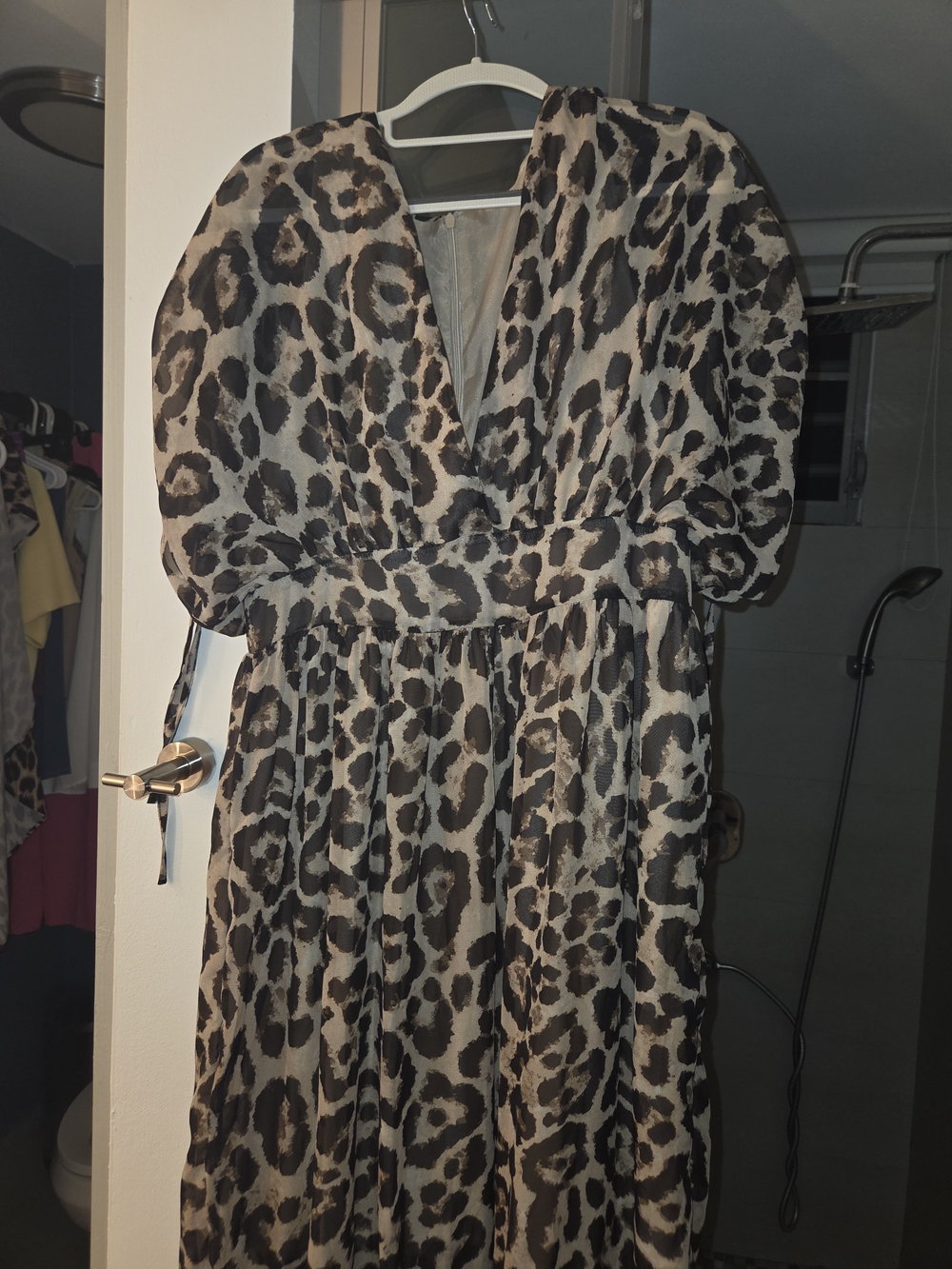 Leopard Print Maxi Dress with V-Neck